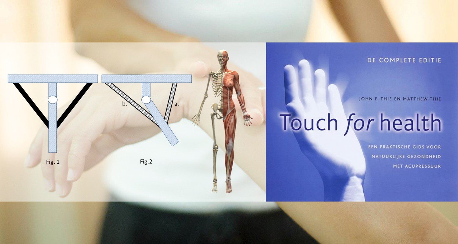 Touch for Health 1 zelfhulp TOOLS